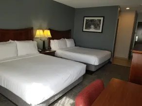 Wingate by Wyndham Savannah I-95 North - Chambre