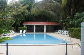 Tropical Garden Hotel - Pool