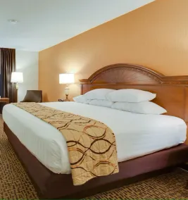 Wingate by Wyndham St Louis-Fenton Route 66 - Chambre