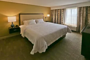 Hampton Inn Billings - Rum