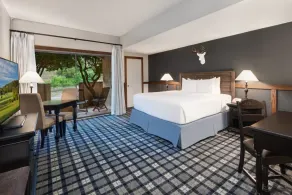 Tapatio Springs Hill Country Resort - Chambre