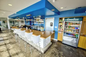Downtowner Boutique Hotel - Reception