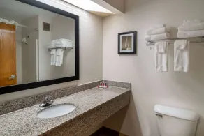 Ramada by Wyndham Maggie Valley - Salle de bain