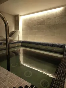Carol Boutique & SPA ex Vila Cornelia - Pool
