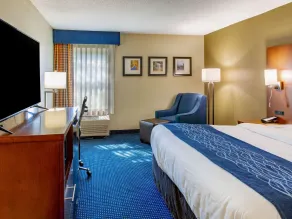 Comfort Inn Piketon near Fairgrounds - Værelse