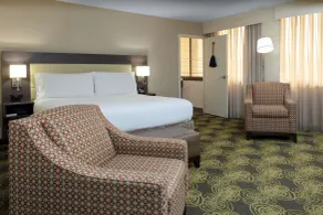 Hilton Garden Inn Reagan National Airport - Chambre