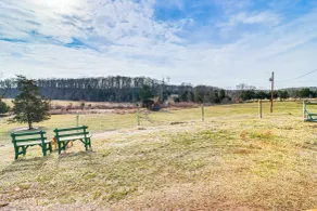 Fire Pits, Creek View: Historic Virginia Farmhouse - Innenbereich