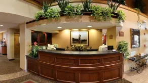 Comfort Inn Okemos - East Lansing - Réception
