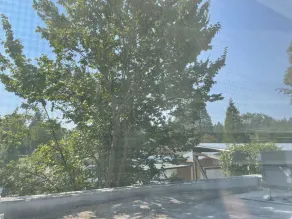 McCully House Inn - View from room