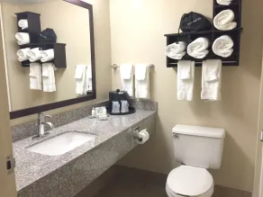Best Western Plus Birmingham Inn & Suites - Salle de bain