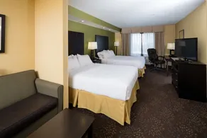 Holiday Inn Express and Suites Detroit North-Troy by IHG - Rom
