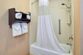 Hampton Inn & Suites Waco-South - Salle de bain