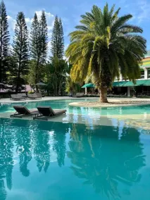 Unique Garden - Pool