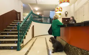 Hotel San Miguel - Réception