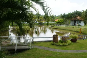 Sitio Ilha do Lazer - Vue de la chambre