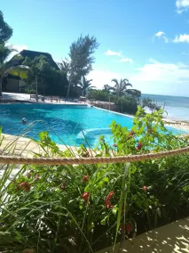 Marafiki Bungalows - Pool
