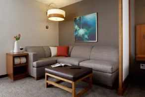 Hyatt Place Dallas/North Arlington/Grand Prairie - Chambre