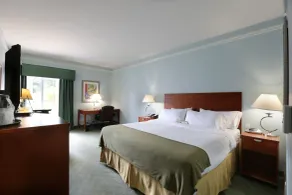 Holiday Inn Express Tampa North Telecom Park by IHG - Chambre
