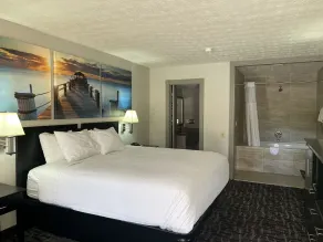 Days Inn by Wyndham Douglasville-Atlanta-Fairburn Road - Zimmer
