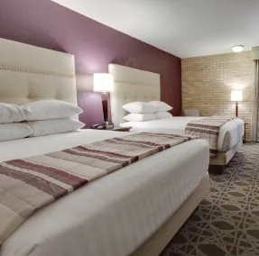 Drury Plaza Hotel San Antonio Airport - Chambre