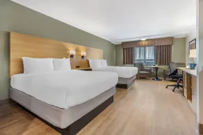 Best Western Plus Ottawa City Centre - Chambre