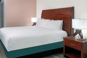 Hilton Garden Inn Tampa/Riverview/Brandon - Chambre