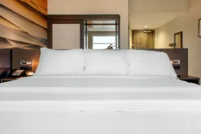 Hilton Garden Inn North Phoenix Scottsdale - Chambre