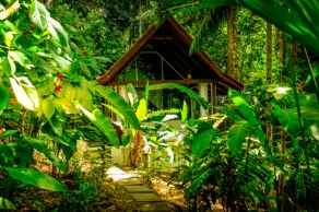 Oxygen Jungle Villas & Spa - Room