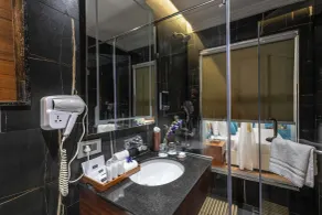 Clarion Hotel Dehradun - Badezimmer