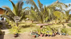 Footprints Beach Resort - View from room