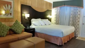 Trailsman Lodge - Chambre