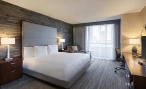 DoubleTree by Hilton Hotel & Suites Houston by the Galleria - Room