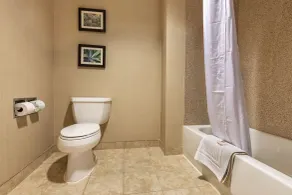 Comfort Suites Goodyear-West Phoenix - Salle de bain