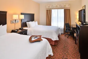 Hampton Inn Pecos - Chambre