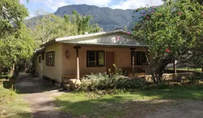 Jungle Hut Resort - Chambre