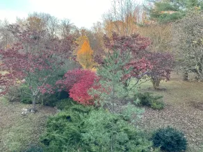 Purcellville Home - View from room
