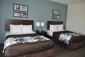 Sleep Inn & Suites Austin North-Pflugerville - Vue de la chambre