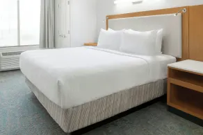 SpringHill Suites Detroit Auburn Hills - Chambre
