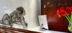 Navona Stay - Réception