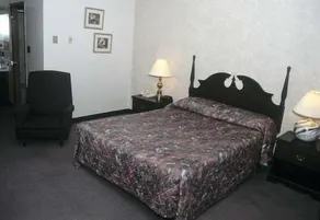 Ivy Rose Motor Inn - Chambre