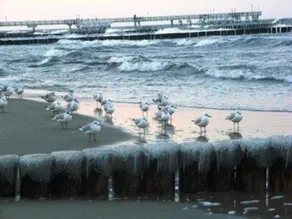 **440 meters to the Baltic Sea beach** - Retiro - Retiro - Image 5