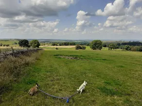 Lovely limestone cottage in the heart of the Peak District. - Image 2