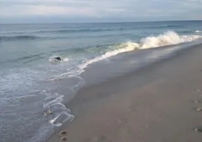 One block from the Beach, Read Guest Reviews. - Image 3