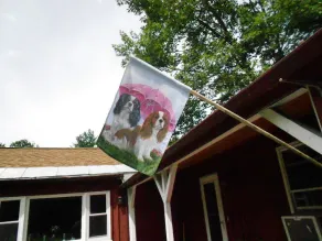 Amazing People & Pet-Welcoming Country Haven - Image 2