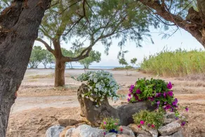 Aadonis Villa - Image 4
