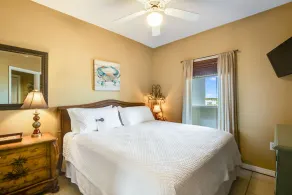 Tidewater Orange Beach #202 - Image 4