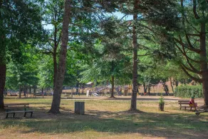 Village de Vacances de la Forêt de Ganigal - Image 3