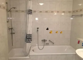 Ferienwohnung-Rottachseeblick - Image 3
