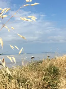 Hus med have, 500 m fra havet, 7 personer, alle komfort - Image 5