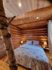 Bétula in Pays du Mézenc, casa di tronchi nel cuore della natura dell'Alvernia - Image 3